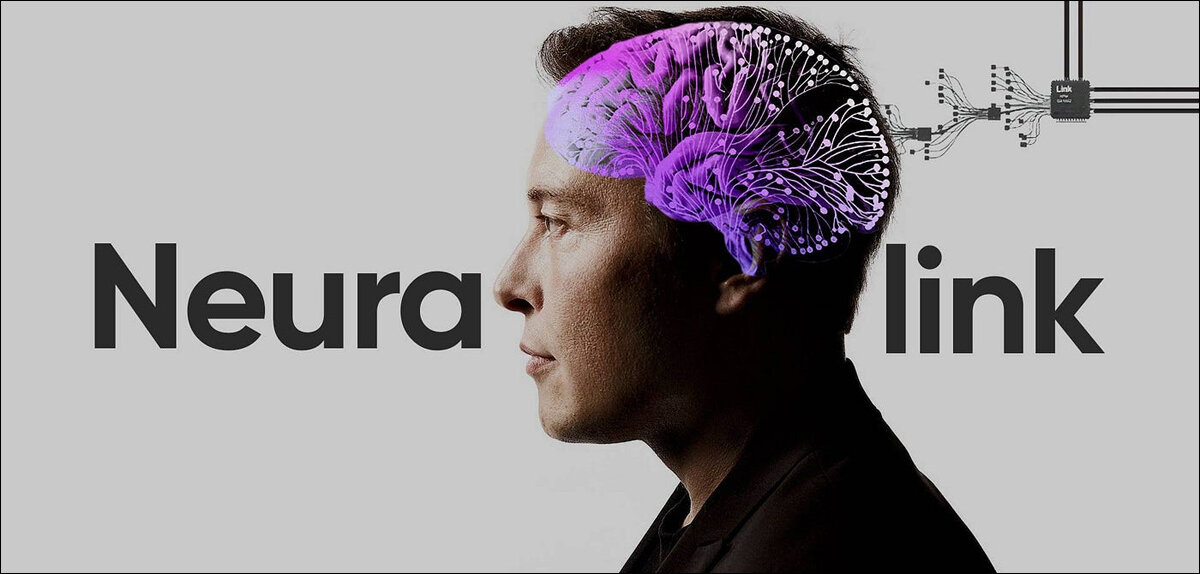 neuralink elon musk flickr